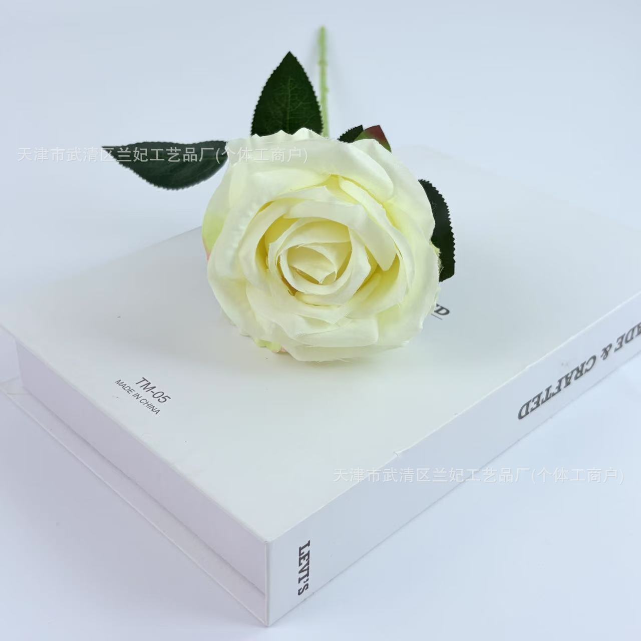 Una sola pieza de tela de seda, una pequeña rosa de crema, una rosa, una rosa, una rosa, una rosa, una rosa, una rosa, una rosa, una rosa, un arreglo floral, una boda, una pared de flores
