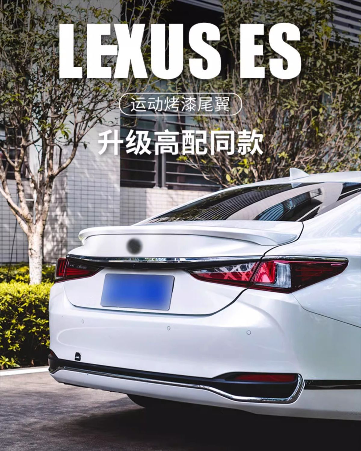 Suitable for Lexus ES200 tail ES260ES300h modification high-end sports tail accessories decoration
