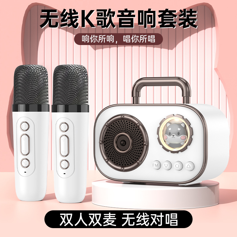 Portable Bluetooth slightly household wireless K Gebao stereo with microphone microphone outdoor singing small family KTV