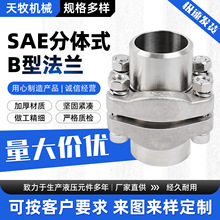 304/316L�����SAE����ʽ�Կ�B��/BSF��/AFKV�� 3000PSI/6000PSI