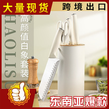 家用不锈钢厨房套刀跨境外贸菜刀组合网红厨师刀具跨境菜刀五件套