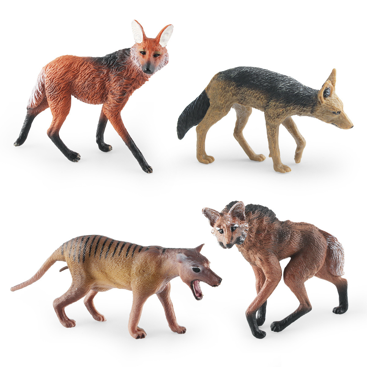 Modelo realista de lobo de pradera transfronterizo, juguete educativo para niños, lobo mancuzo, lobo brasileño, dingo, lobo de espalda negra, pieza de exhibición estática