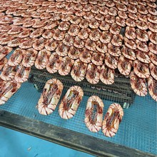 �r�� �Ź��r�� �ڻ��r��  ���r�� ���r�� ���r��؛