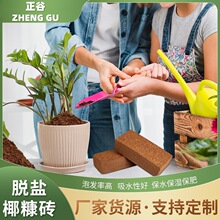 Ҭ�u���a�S���m���N������I�B�����w��Ҭ���uҬ�������|�ķN�ˈ@