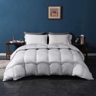 High-End 95 White Goose down Quilt 100% Cotton Satin Soft Silk Stereo Winter Warm Goose down Quilt Core down Quilt Wholesale