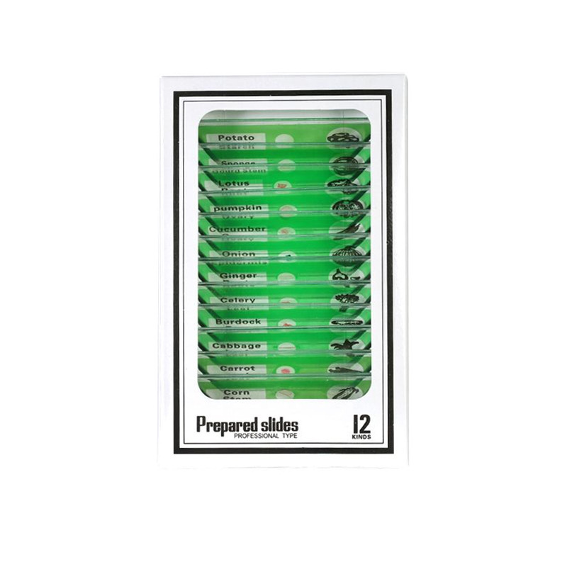녹색 야채 12 표본 * 영어