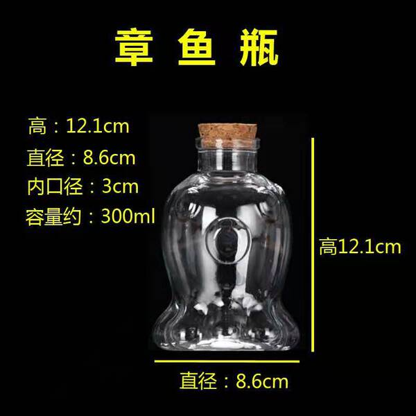 glass starry sky