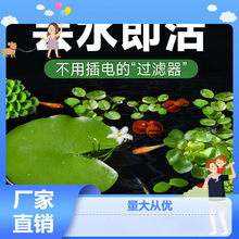 ��Ƽˮֲ���~��ˮ��һ�~ɏˮ���Jˮܽ�عŷ��B�~�쾰������ˮ