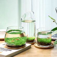 生态缸鱼缸水草微景观水草泥创意桌面水培植物玻璃瓶水造景对叶