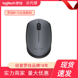 Distribution Logitech M170/M171 Notebook Desktop Computer Office Home Gift Optical Wireless Mouse