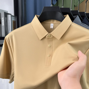 �ļ���ʿ�¿�o�۶���t��2026���I�������e���䏗���w��Polo��