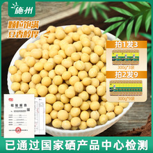 ؛S򶹝{öʩrҷD󶹰lѿS900g