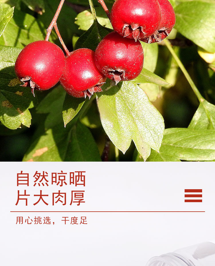Dried Hawthorn Berries Shan Zha 500g Bulk Loose Herbal Tea Fruit Whole Dried No Sulfur Fumigation overview