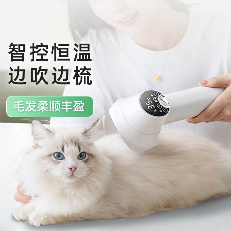 애완 동물 헤어 드라이어 개 특별한 머리 불고 올인원 기계 고양이 목욕 빠른 건조 머리 부는 유물 청소 용품