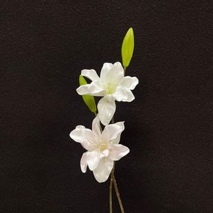 �ָ�pu��ٺϷ��滨��������ɭϵ�׾G�d��c���滨�Ĕz���߼ٻ�