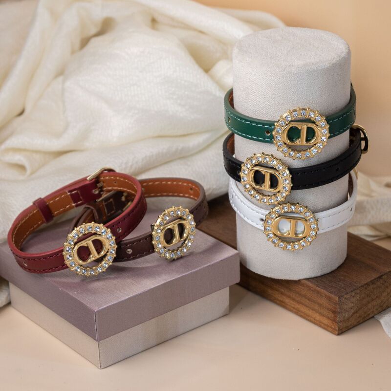 Cross-Border New Product Dior Genuine Leather Bracelet, Light Luxury and High-End Feel, Faux Leather Diamond-Encrusted Bracelet for Women, Versatile Letter Watch