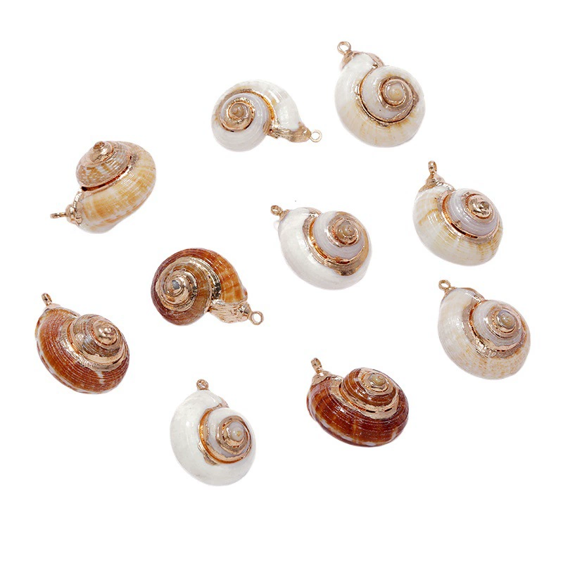 Золотая гальваника натуральная ракушка улитки пресной воды Pendant (Yibei), 2–3 см