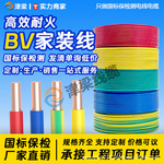 厂家国标NH-BV耐火家装电源线4/6/10平方电线铜芯开关插座电缆线