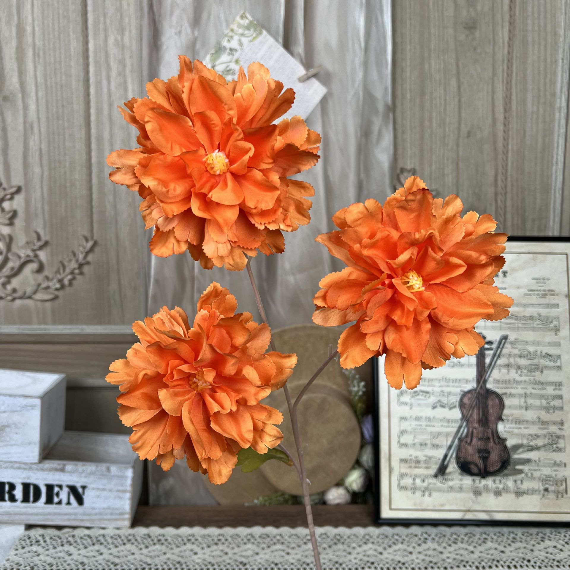 Y-히비스커스 모란-오렌지