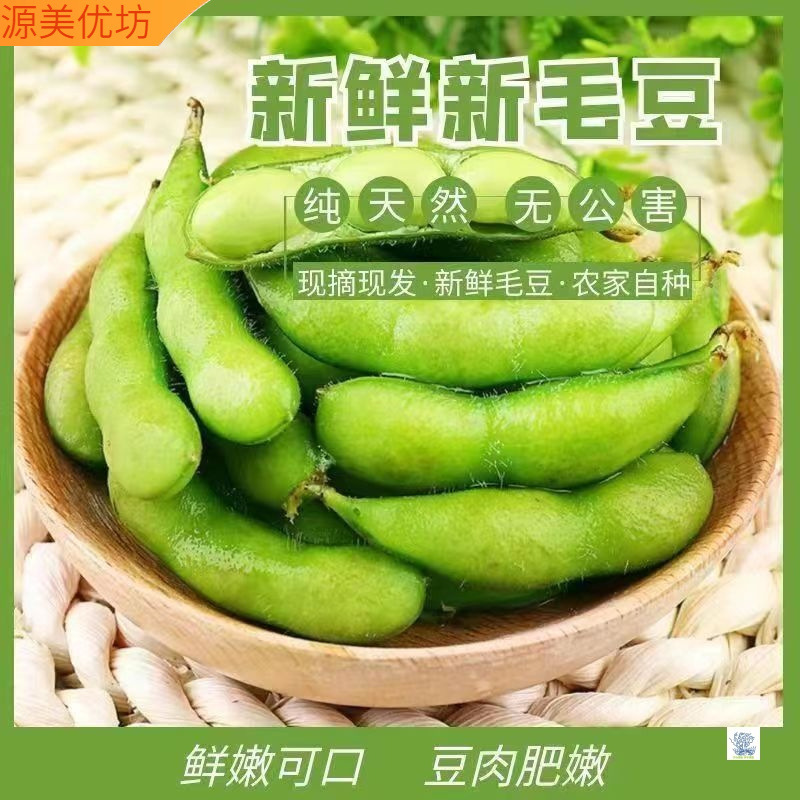 Fresh edamame whole box freshly picked pods soybeans farm-grown tender fresh seasonal vegetables green peas wholesale