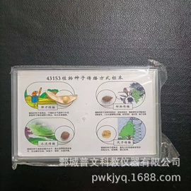 教学仪器;数理教学器材;教学演示用品