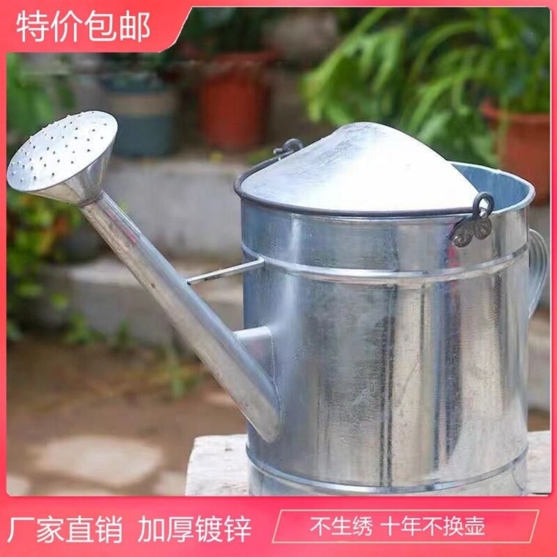 Thickened Watering Can, Handmade Stainless Steel Galvanized Iron Watering Can, Flower Watering Can, Spray Can, Vegetable Watering Can, Garden Watering Can