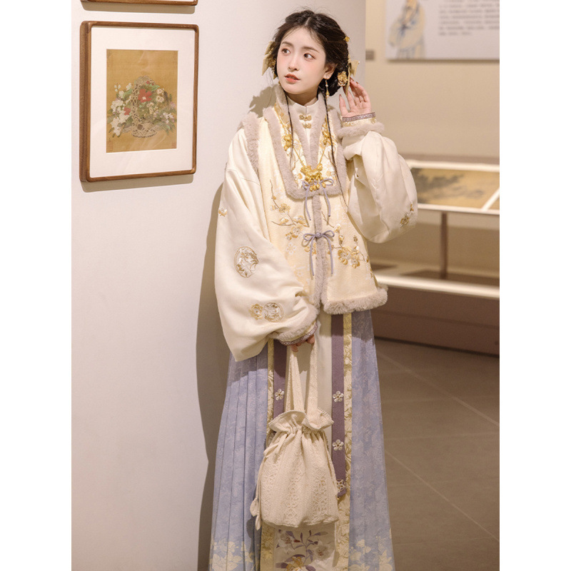 Autumn and winter [painted gold] Chinese clothing women's embroidery thickened Ming-made horse-faced skirt fairy style ancient costume daily set