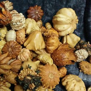 �w��ī��������J�w�Ϲϳ���Ƕ��������߲ʺ��J��