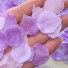 ����˺�ٻ��껨�������������һ��ѻ��仨С�黨��100���b