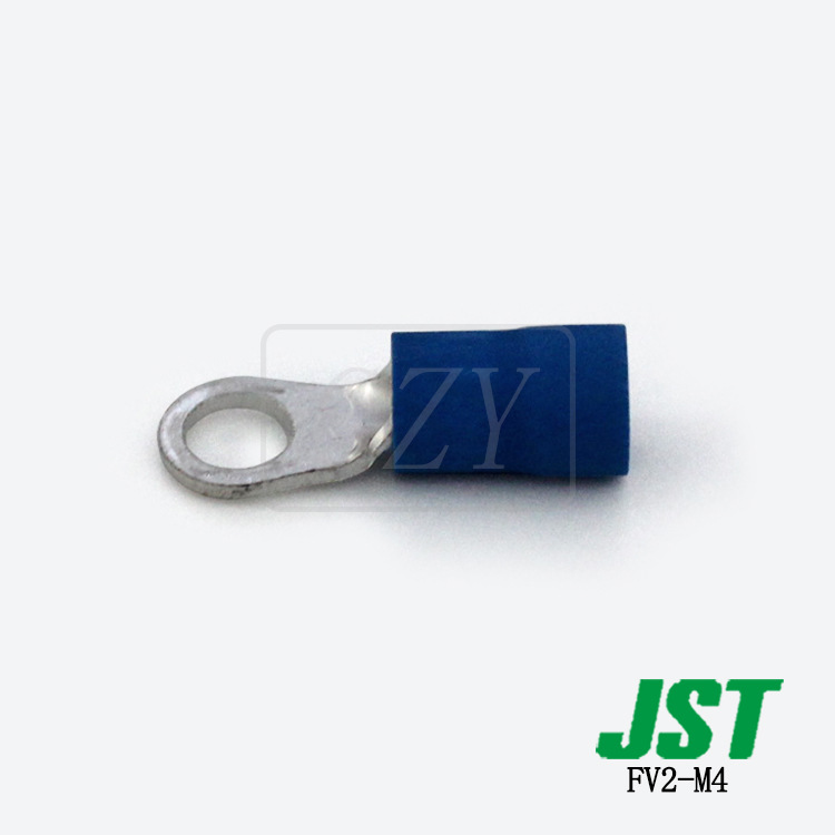 ɶ FV2-M4 ѹ JST