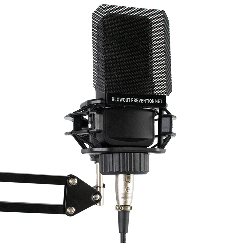 48V microphone condenser microphone anchor recording studio ZX200 microphone k song mixer sound card phantom power supply