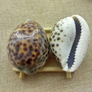 ��ș����ؐ�X ��ؐ ��ؐ ��ؐ�� �������X ��֧��