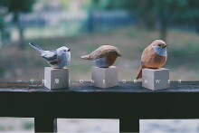 ? �ֹ���̿ɐی�ľ����С�B�y��ɽȸ�b[�����նY