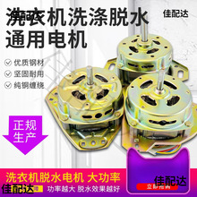 纯铜双桶半全自动洗衣机洗涤排水脱水甩干桶变频马达迷你电