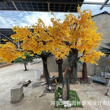 ����ֲ�� �ט��t����٘�S�Ҳ����ˮ�� ��ɽ��ʯֲ���쾰�^��