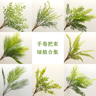 ���S�����־��Gֲ���������ֲ��������̾G���쾰ܛ�b�S�����l