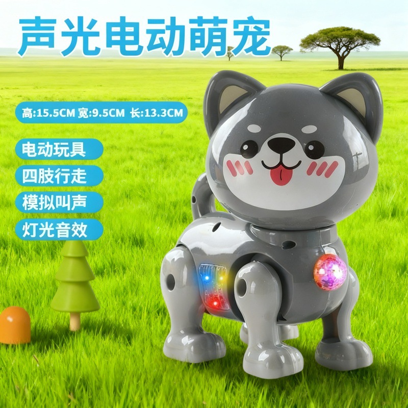 Electric toy