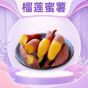 �V����ɏ���� ���l���l1/3/5/9����Ŵ�������Ŀ������o���r�߲�