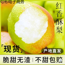 陕西红香酥梨10新鲜水果当季整箱香梨青应特产酥梨雪梨包邮斤梨子