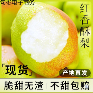 ����t������10���rˮ�������������������خa����ѩ����]������