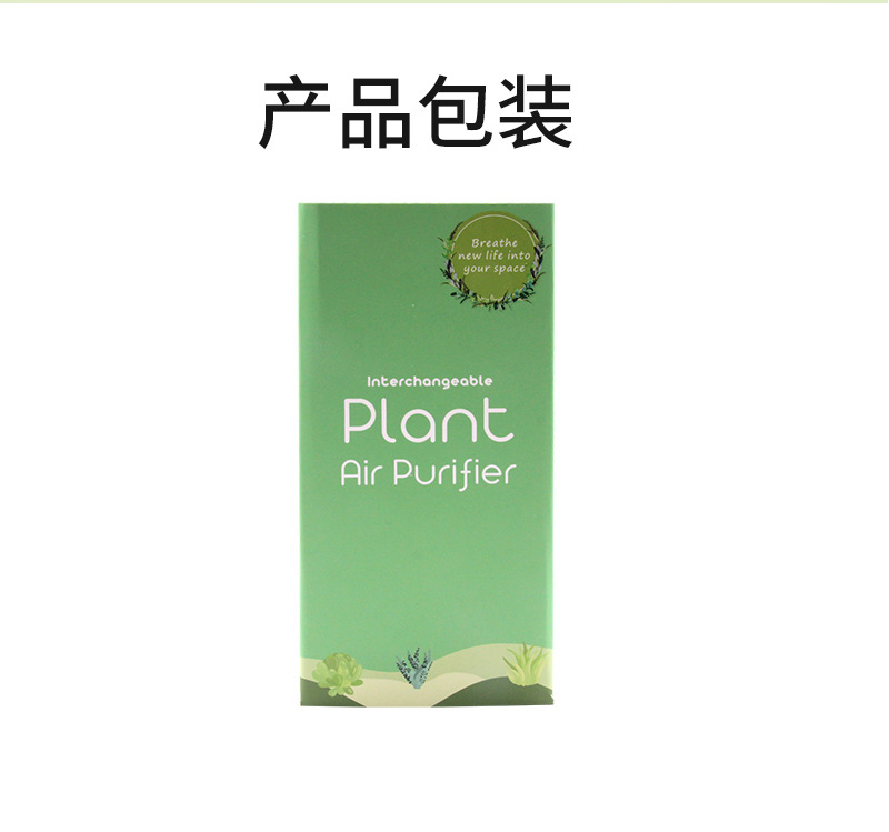 Mass Customization of Simulated Plants, Smart Car-Mounted Air Purifier, Negative Ion Removal of Smoke and Haze