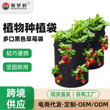 现货落地式无纺布草莓种植袋 多口黑色草莓袋 园艺3加仑8口种植袋
