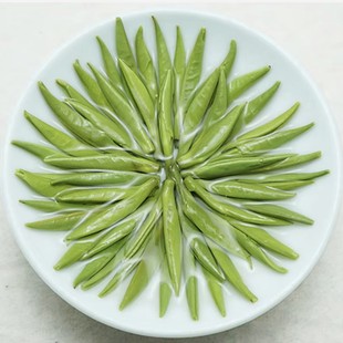 2025�²���ǰȸ��ë���ɽ�G����ѿ �Sɽë��G��ȸ�� ��ζ���ݲ�