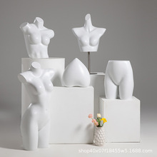 内衣模特展示架男女半身聚拢文胸模特内裤模特架子假人体拍摄道具