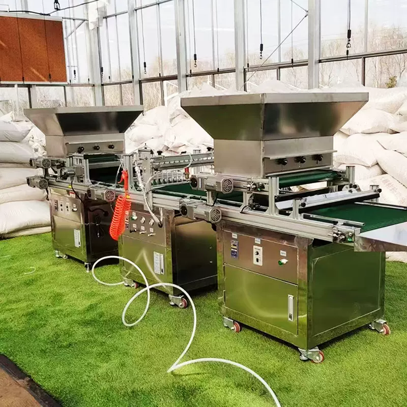 农业种植瓜果育苗穴盘播种机大棚花卉药材育苗机辣椒西红柿播种机