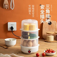 蒸蛋器多功能家用煮蛋器小型蒸煮蛋羹机神器自动断电早餐机