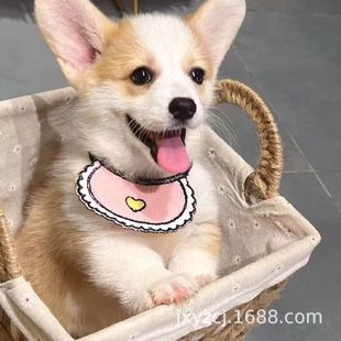���l�»�С����С��Ȯ���ﹷ����Ȯ���w����С�����HȮ���pȮ