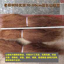 优级棕丝棕皮片佛尘棕绳坐垫床垫花盆填充雕塑材料宠物垫窝耐腐毛