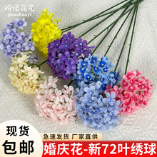 ��c���滨����ٻ���������Ҿ�����b��Ļ�Y��Ʒ�|�����廨