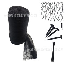 30克hdpe落叶鱼塘池塘网黑色塑料网保护防鸟园林PondNet防尘网